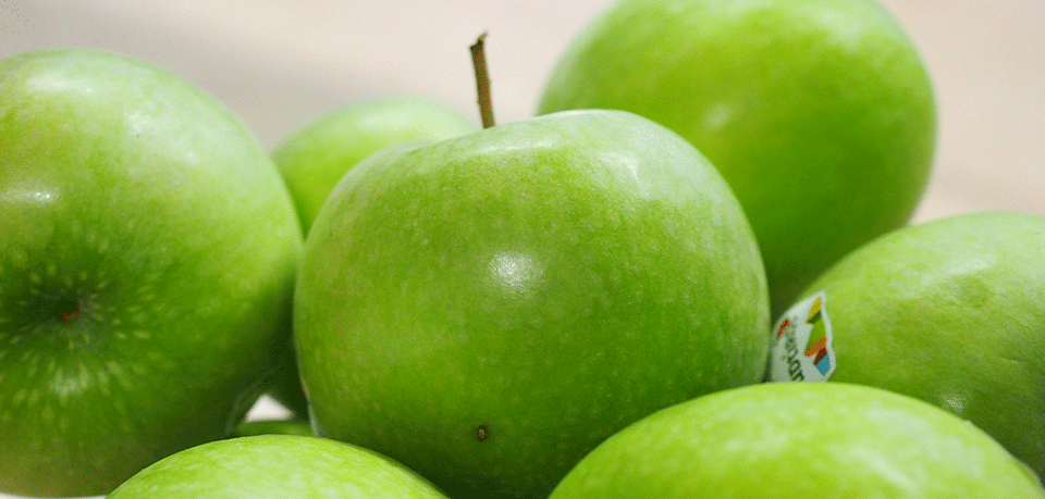 Äpfel zum assona Gesundheitstag