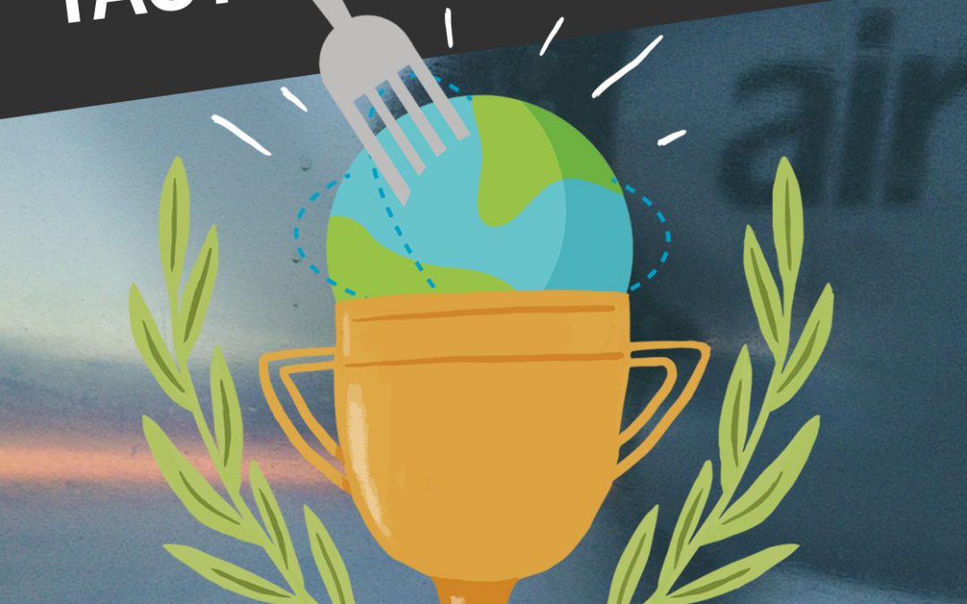 assona-Sommeraktion „Taste the World“: Gewinner stehen fest
