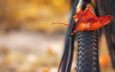Mit dem Fahrrad sicher durch den Herbst