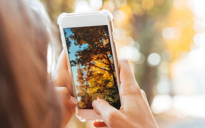Smartphone: Blätter und andere Gefahren im Herbst